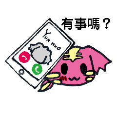 小虎貓雲喏的日常