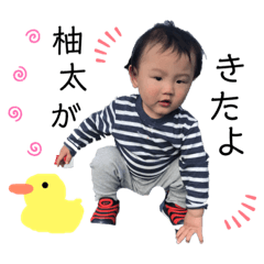 Hikari_20190606162349