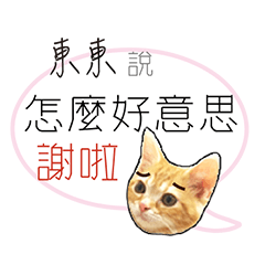 for_i’m dondon東東