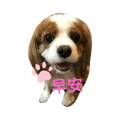 我是饃饃
