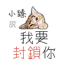 for_shiao jan小臻