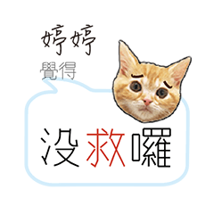 for_tin tin tin tin婷婷