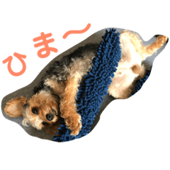 suzu_20190606183717