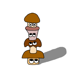 mash kinococo