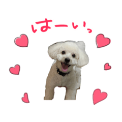 YUKARI_20190606170055