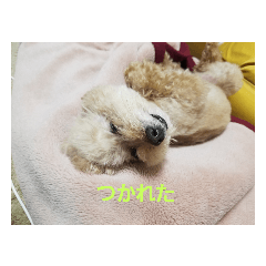 MOKA_HANA