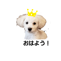 kinako_20190606214732