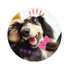風一樣的男紙