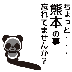 Kumamoto Panda Sticker