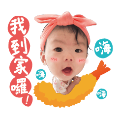 哈波女孩的wonderland