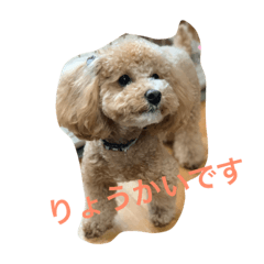yukiko_20190605132312