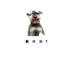 可愛狗狗日常用語