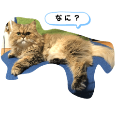 ay_20190515104120a
