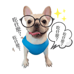 可愛いのブルドック Line スタンプ Line Store 可愛いのブルドック Line スタンプ Line Store