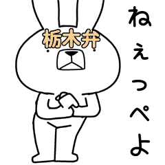 Dialect rabbit [tochigi4]