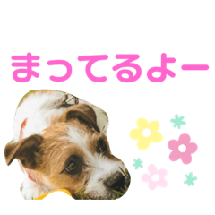 hikaru_20190607120802