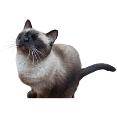 yukari_20190607150422