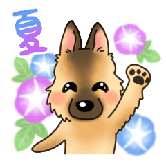 夏 ベルジアンシェパード Line スタンプ Line Store 夏 ベルジアンシェパード Line スタンプ Line Store