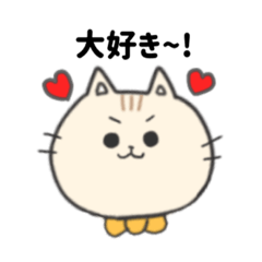 cute cat japanese