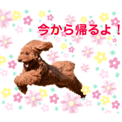 Ryota_20190607153252