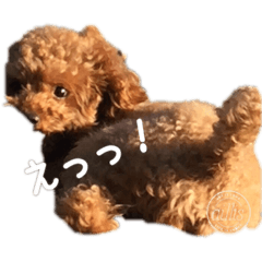 hide_20190607150536