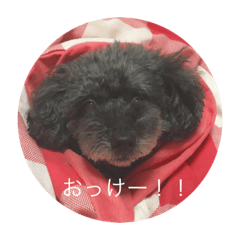 chisa_20190607154737