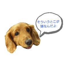 marina_20190607160242