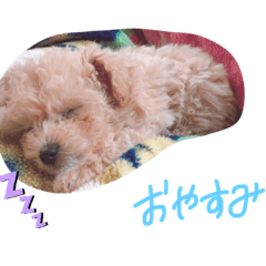 ibuchan20181224