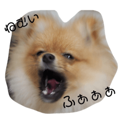 misato_20190607223642