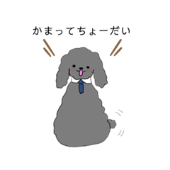 Ringo_20190607192330