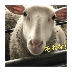 naka_20190607195427