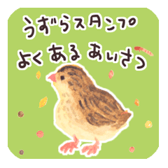 うずらスタンプ よくあるあいさつ Line スタンプ Line Store うずらスタンプ よくあるあいさつ Line スタンプ Line Store