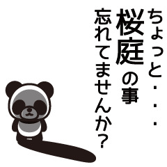 Sakuraba Panda Sticker