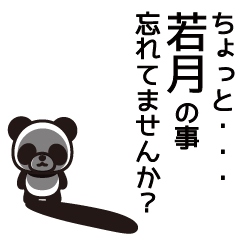 Wakatsuki Panda Sticker