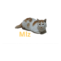 Nyonyooo