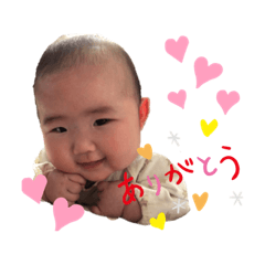 Rino_20190608120349