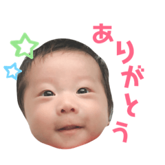 hikari_20190608160225