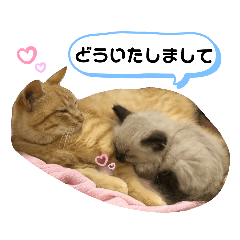 Smile_20190608151346