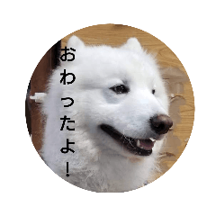 Hikaru_20190605131058