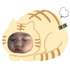 心肝鼻鼻小胖胖