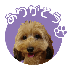Lore Sticker
