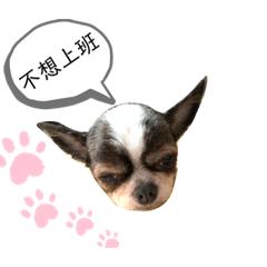 我的名字叫估迪