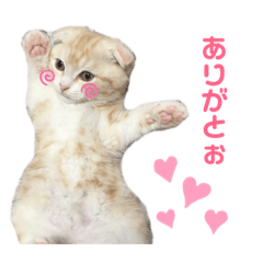 bella_20190607202716