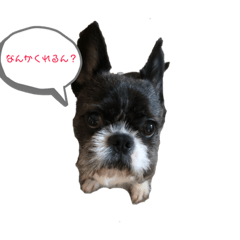 DAI_20190608235342