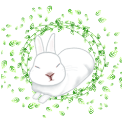 Xiaofei zi - Cute rabbit