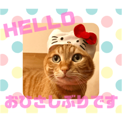 eiko_20190605232611