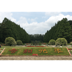 my home town_20190606024011