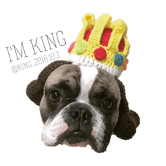 I'M KING 2016.10.2