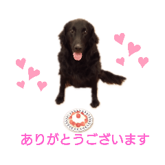 MANMARU_20190608201331