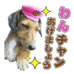 Cheerful dog, chocolat stamp